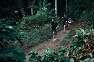 BIB: 
                            <button type="button" onclick="openModal(25788511)" class="btn btn-primary btn-sm float-right btn-popup" data-toggle="modal" data-target=".modal-high-quality">
                        <i class="fas fa-shopping-cart"></i> Add to Cart
                    </button>
                                            <button type="button" onclick="isThisMe(25788511, true)" class="btn btn-success btn-sm float-right btn-popup btn-isme hidden" data-toggle="tooltip" data-placement="bottom" title="นี่คือรูปของคุณใช่ไหม คลิกที่นี่เพื่อเอาเข้าอัลบั้ม">
                        <i class="fas fa-plus"></i> Add to album
                    </button>
                    <button type="button" onclick="isThisMe(25788511, false)" class="btn btn-warning btn-sm float-right btn-popup btn-isnotme hidden">
                        <i class="fas fa-ban"></i> Remove from album
                    </button>